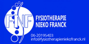 thumbnail_Logo-Banner-Nieko-Franck