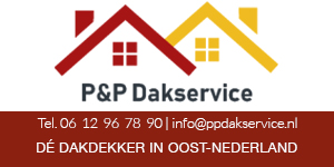 thumbnail_logo-PenP-dakservice